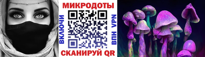 купить наркотик  Артёмовский  Галлюциногенные грибы MAGIC MUSHROOMS 