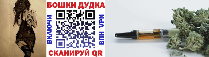 Каннабис план  где купить   Артёмовский 